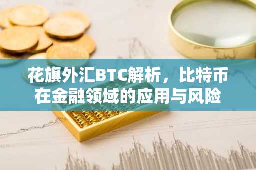 花旗外汇BTC解析,比特币在金融领域的应用与风险