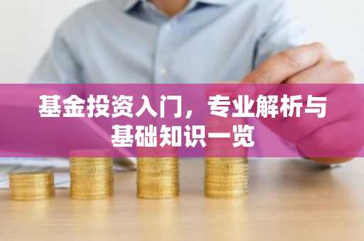 基金投资入门,专业解析与基础知识一览