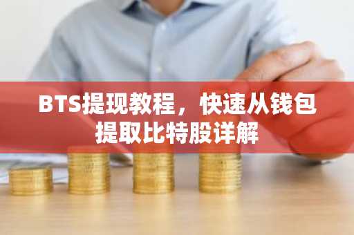 BTS提现教程,快速从钱包提取比特股详解