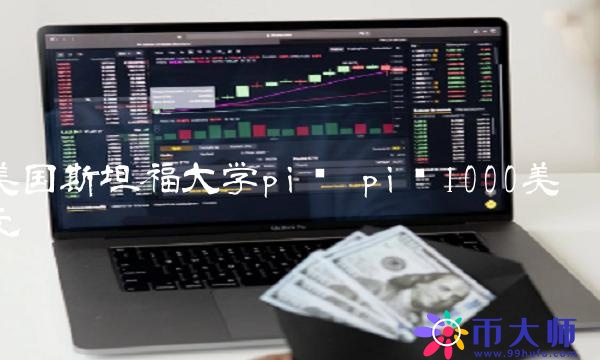 美国斯坦福大学pi币