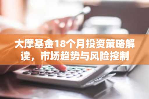 大摩基金18个月投资策略解读，市场趋势与风险控制