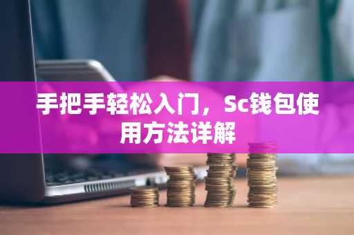 手把手轻松入门，Sc钱包使用方法详解