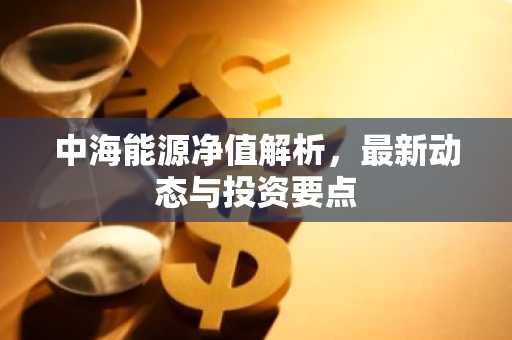 中海能源净值解析，最新动态与投资要点