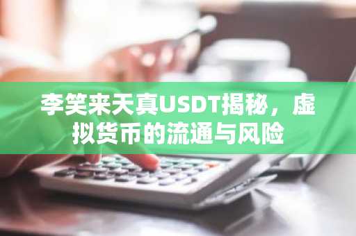 李笑来天真USDT揭秘，虚拟货币的流通与风险