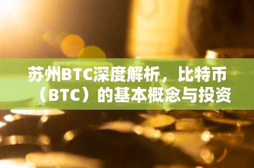 苏州BTC深度解析,比特币(BTC)的基本概念与投资风险