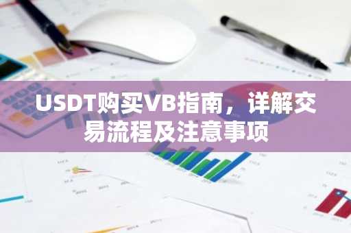 USDT购买VB指南，详解交易流程及注意事项