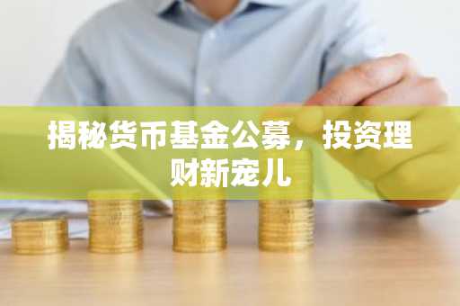 揭秘货币基金公募，投资理财新宠儿
