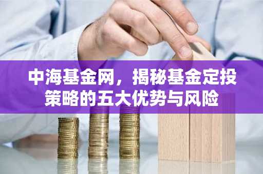 中海基金网,揭秘基金定投策略的五大优势与风险