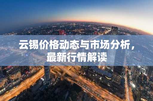 云锡价格动态与市场分析，最新行情解读