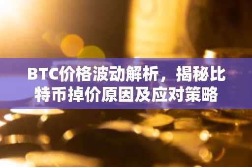 BTC价格波动解析，揭秘比特币掉价原因及应对策略