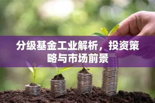 分级基金工业解析,投资策略与市场前景