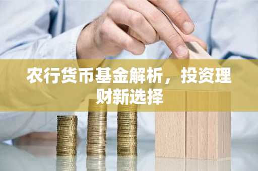 农行货币基金解析，投资理财新选择