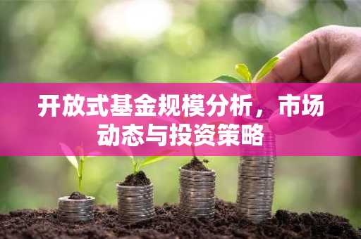 开放式基金规模分析，市场动态与投资策略