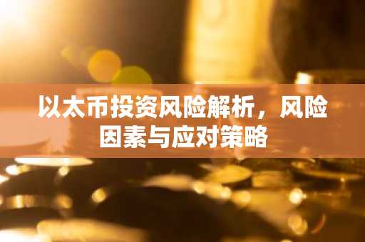以太币投资风险解析，风险因素与应对策略