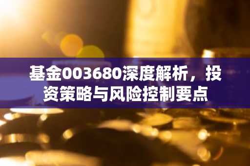 基金003680深度解析，投资策略与风险控制要点