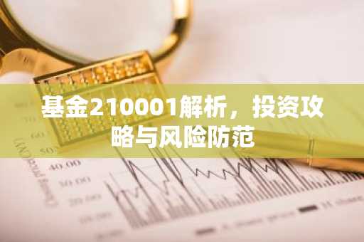 基金210001解析，投资攻略与风险防范