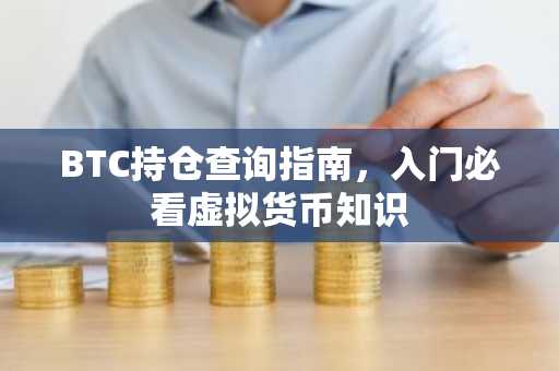 BTC持仓查询指南，入门必看虚拟货币知识