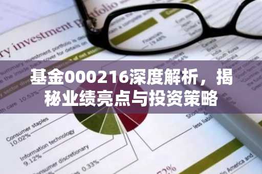 基金000216深度解析，揭秘业绩亮点与投资策略