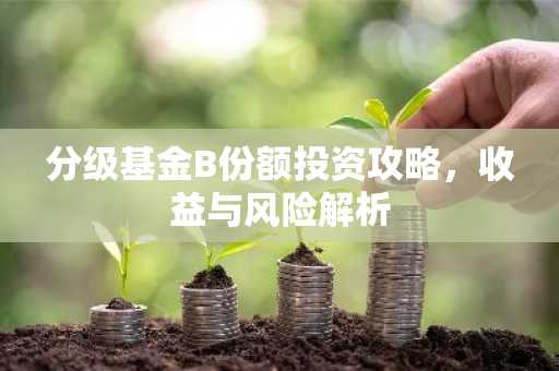 分级基金B份额投资攻略，收益与风险解析