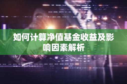 如何计算净值基金收益及影响因素解析