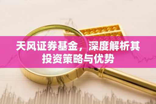 天风证券基金，深度解析其投资策略与优势