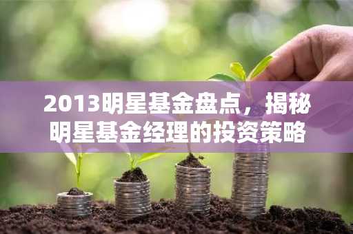 2013明星基金盘点，揭秘明星基金经理的投资策略