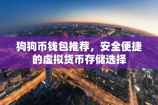 狗狗币钱包推荐，安全便捷的虚拟货币存储选择