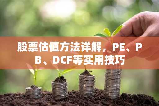股票估值方法详解，PE、PB、DCF等实用技巧