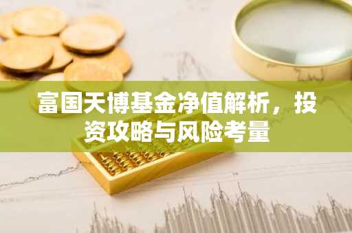 富国天博基金净值解析，投资攻略与风险考量
