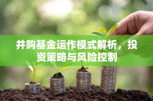 并购基金运作模式解析，投资策略与风险控制
