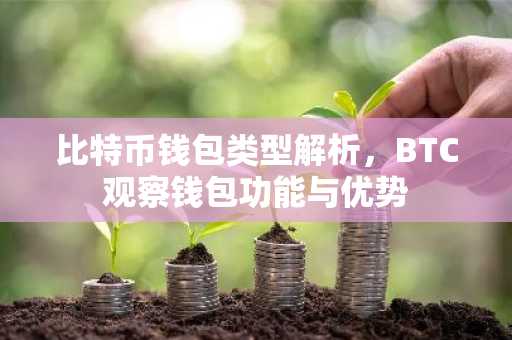 比特币钱包类型解析，BTC观察钱包功能与优势