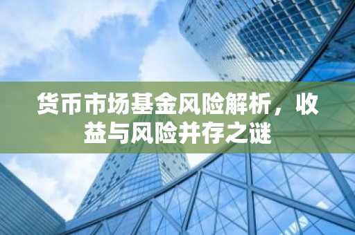 货币市场基金风险解析，收益与风险并存之谜