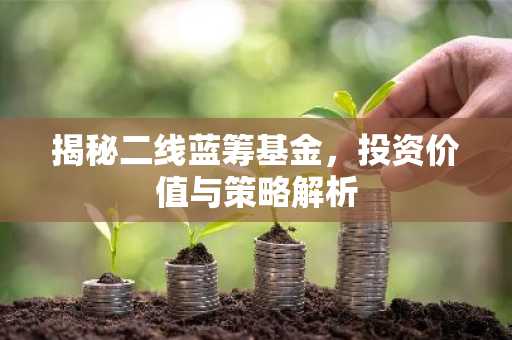 揭秘二线蓝筹基金，投资价值与策略解析