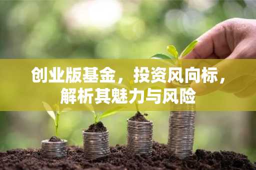 创业版基金，投资风向标，解析其魅力与风险