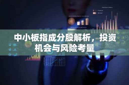中小板指成分股解析，投资机会与风险考量
