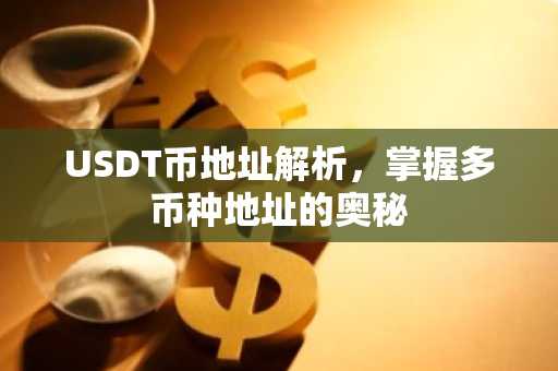USDT币地址解析，掌握多币种地址的奥秘