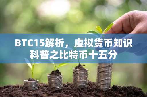 BTC15解析，虚拟货币知识科普之比特币十五分
