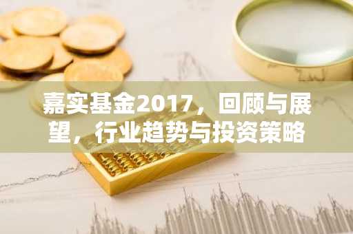 嘉实基金2017,回顾与展望,行业趋势与投资策略