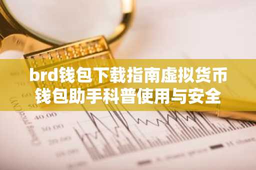 brd钱包下载指南虚拟货币钱包助手科普使用与安全
