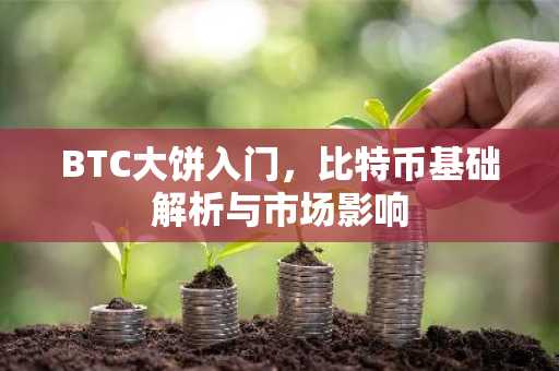 BTC大饼入门,比特币基础解析与市场影响