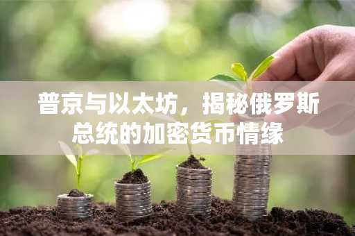 普京与以太坊，揭秘俄罗斯总统的加密货币情缘
