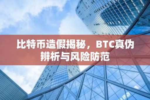 比特币造假揭秘，BTC真伪辨析与风险防范