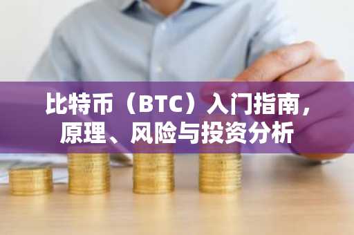 比特币（BTC）入门指南，原理、风险与投资分析