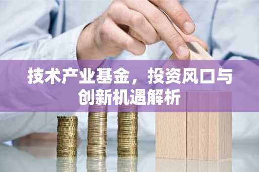 技术产业基金,投资风口与创新机遇解析