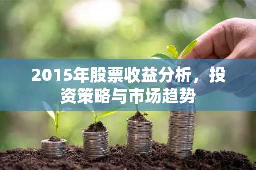 2015年股票收益分析，投资策略与市场趋势