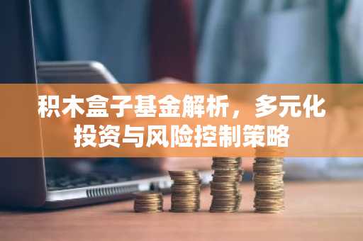 积木盒子基金解析，多元化投资与风险控制策略