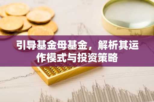 引导基金母基金，解析其运作模式与投资策略