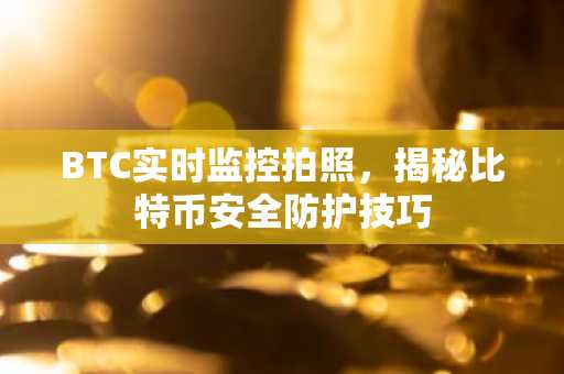 BTC实时监控拍照，揭秘比特币安全防护技巧