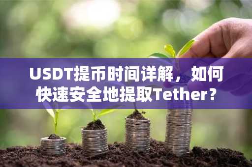 USDT提币时间详解,如何快速安全地提取Tether?