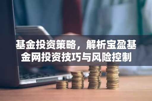 基金投资策略，解析宝盈基金网投资技巧与风险控制